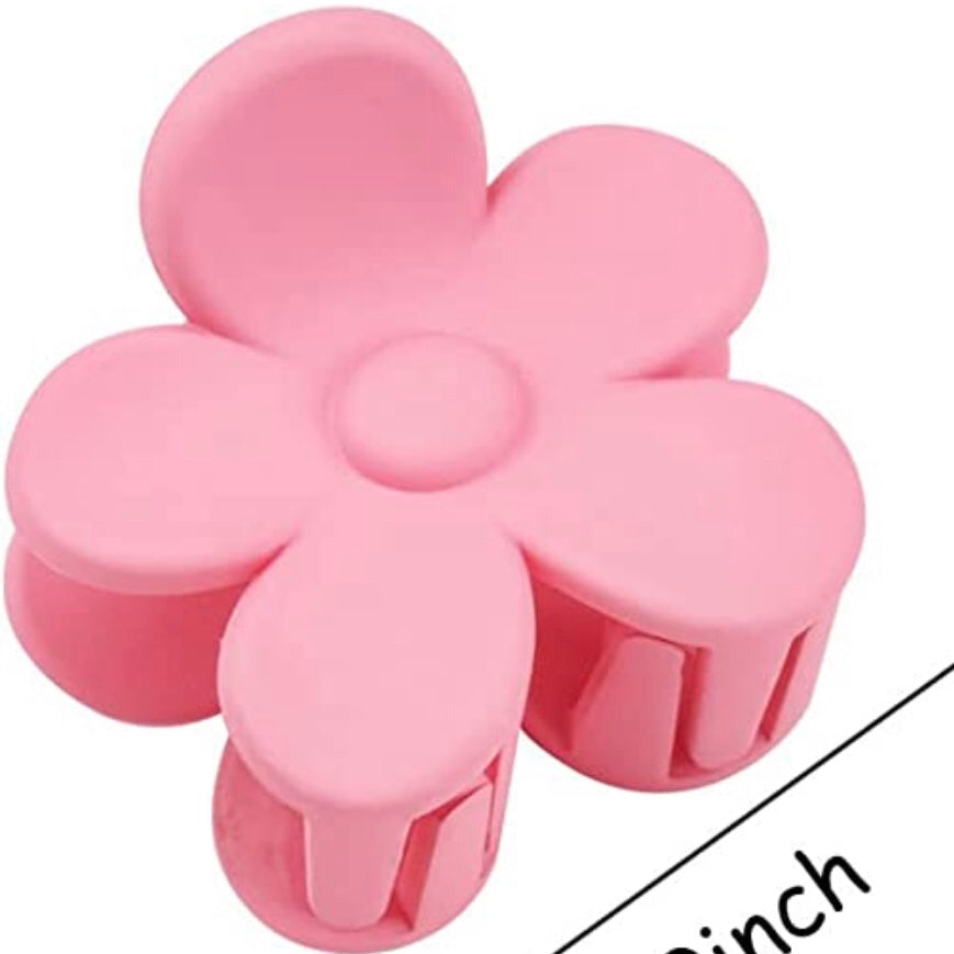 Small claw clip